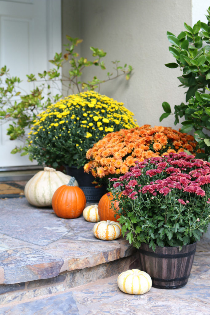 Fall Front Porch Decor